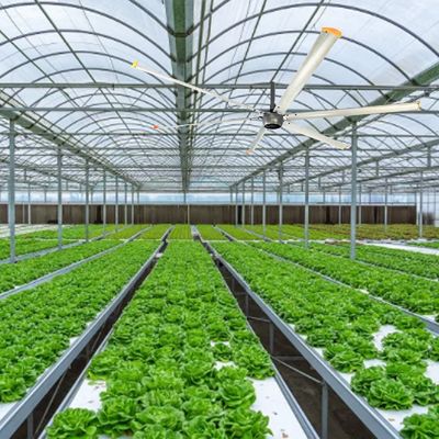 1500 Вт 220 Вт Промышленный потолочный вентилятор HVLS для больших помещений 6,1 м 7,3 м 12 футов 10 футов диаметр