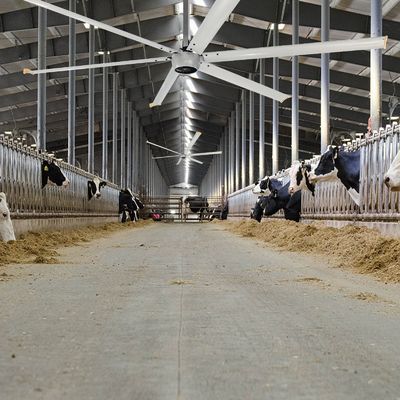 Тихий 1,5 кВт 24 футовый высокоскоростной HVLS большой промышленный электрический потолочный вентилятор с мотором PMSM