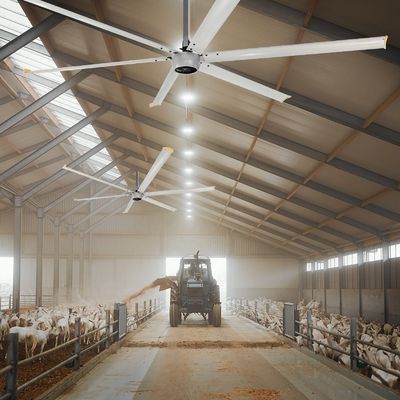 Тихий 1,5 кВт 24 футовый высокоскоростной HVLS большой промышленный электрический потолочный вентилятор с мотором PMSM