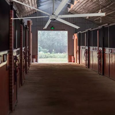 Постоянный магнит синхронный 220V 380V HVLS Вентиляторы для теплицы 14ft 16ft 7.3m охлаждение