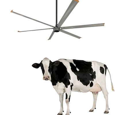 12 футов 6,1 м 7,3 м HVLS вентилятор для низкоскоростной вентиляции высокого объема в промышленных зданиях
